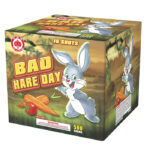 Bad Hare Day