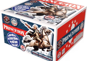 Battle of princeton