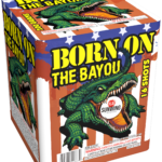 Born On The Bayou