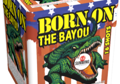 Born On The Bayou