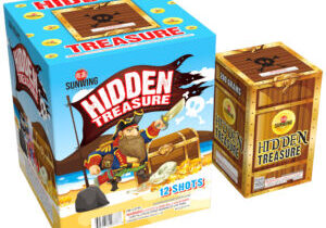 HIDDEN TREASURE