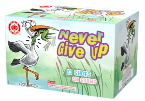 Never Give Up