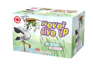 Never-Give-Up