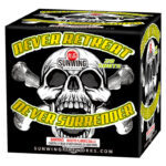 Never Retreat Never Surrender