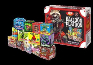 Raccoon Platoon