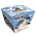 SEALS TEAM