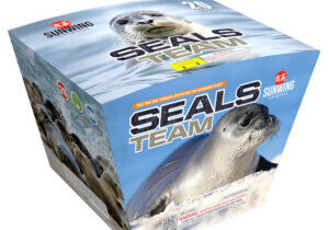 SEALS TEAM