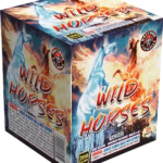 Wild horses