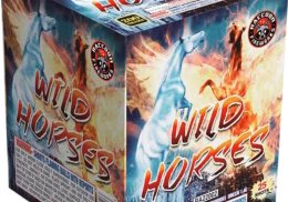 Wild horses
