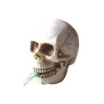 skull fountain