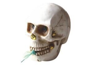 skull fountain